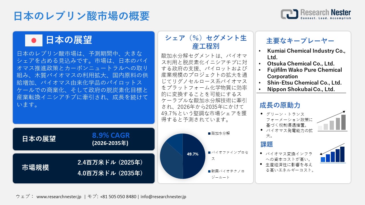 Japan-Levulinic-Acid-Market-Overview_1773307828 (1)