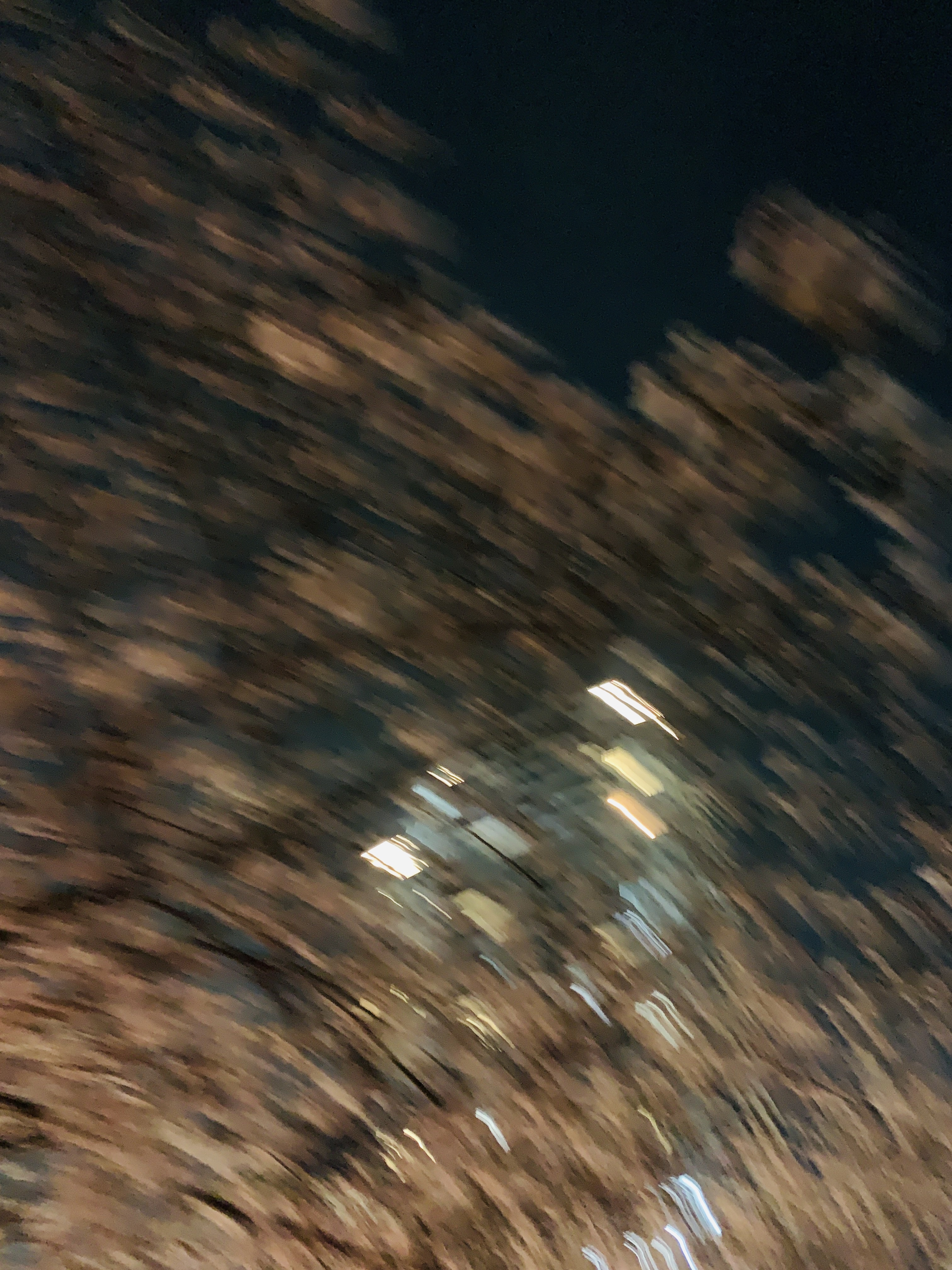 E8683AAF-B1A7-4724-B878-3770F60FE11D